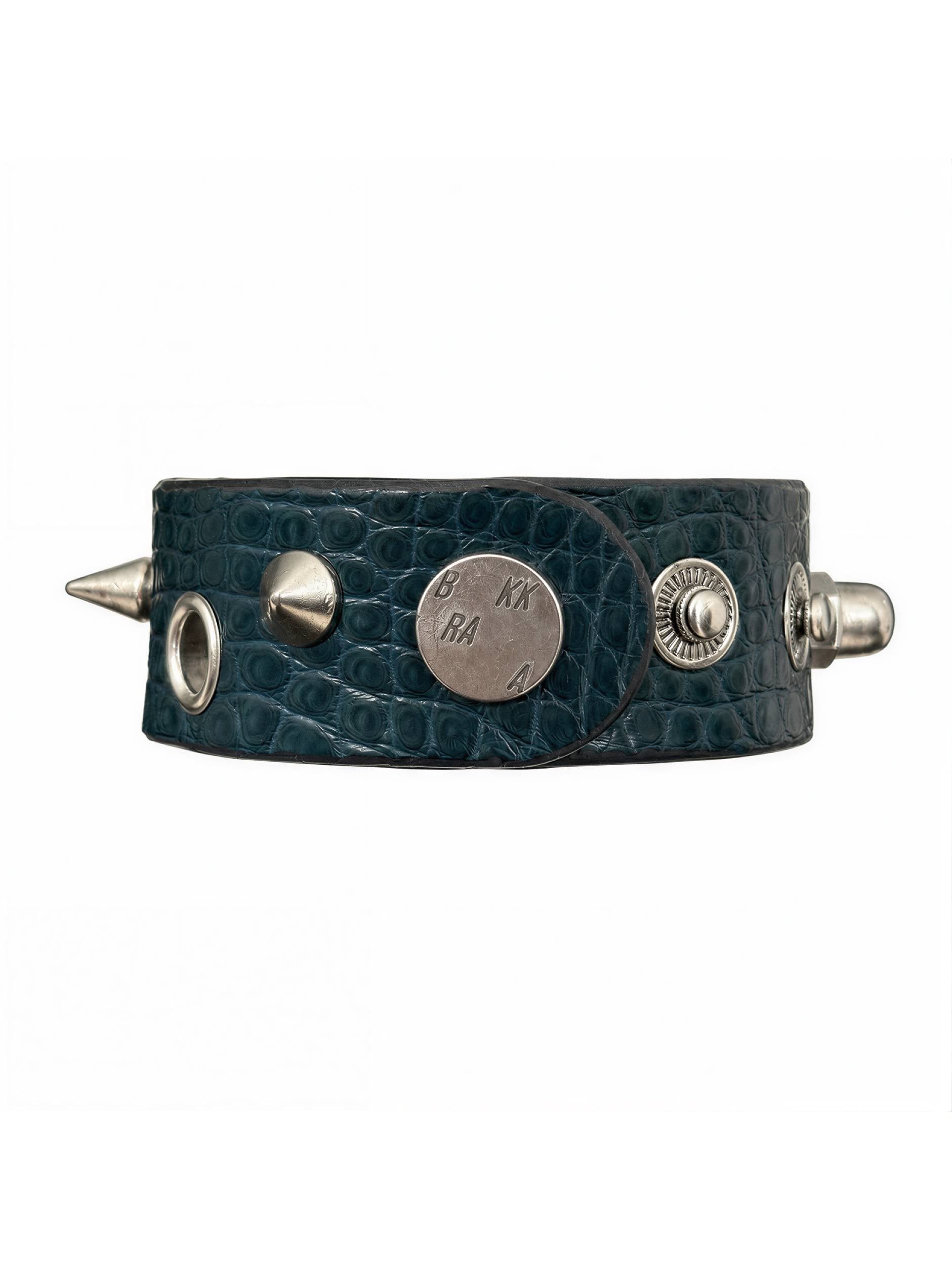 DARK TURQUOISE ASYMMETRIC ALLIGATOR