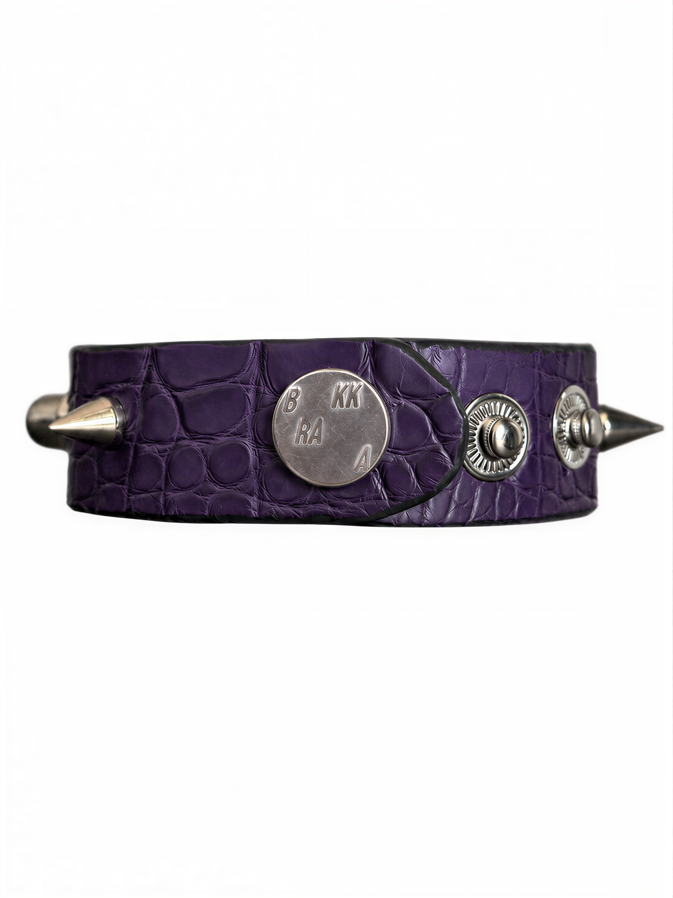 FAIRY PURPLE ALLIGATOR