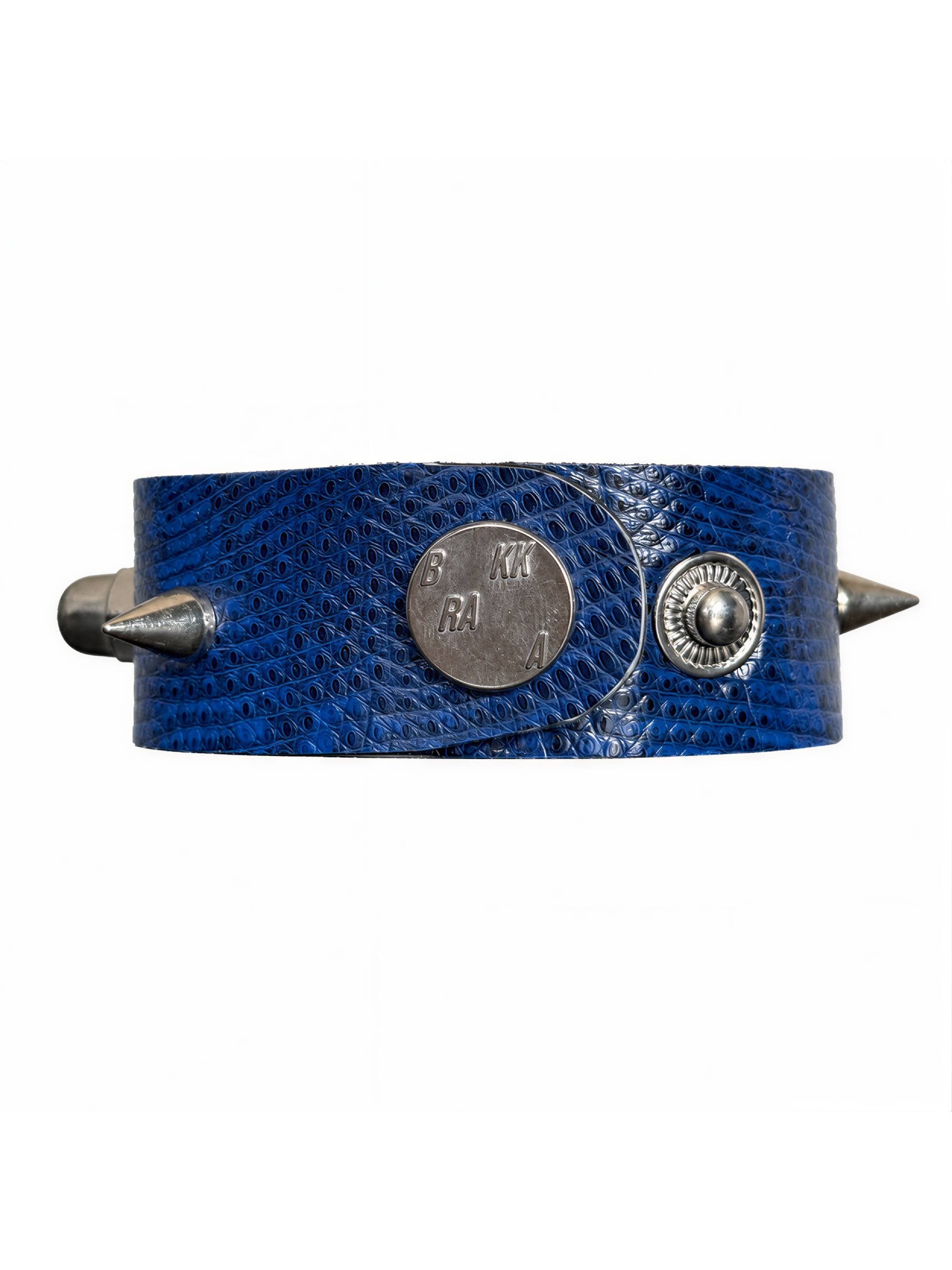 AZURE BLUE LIZARD