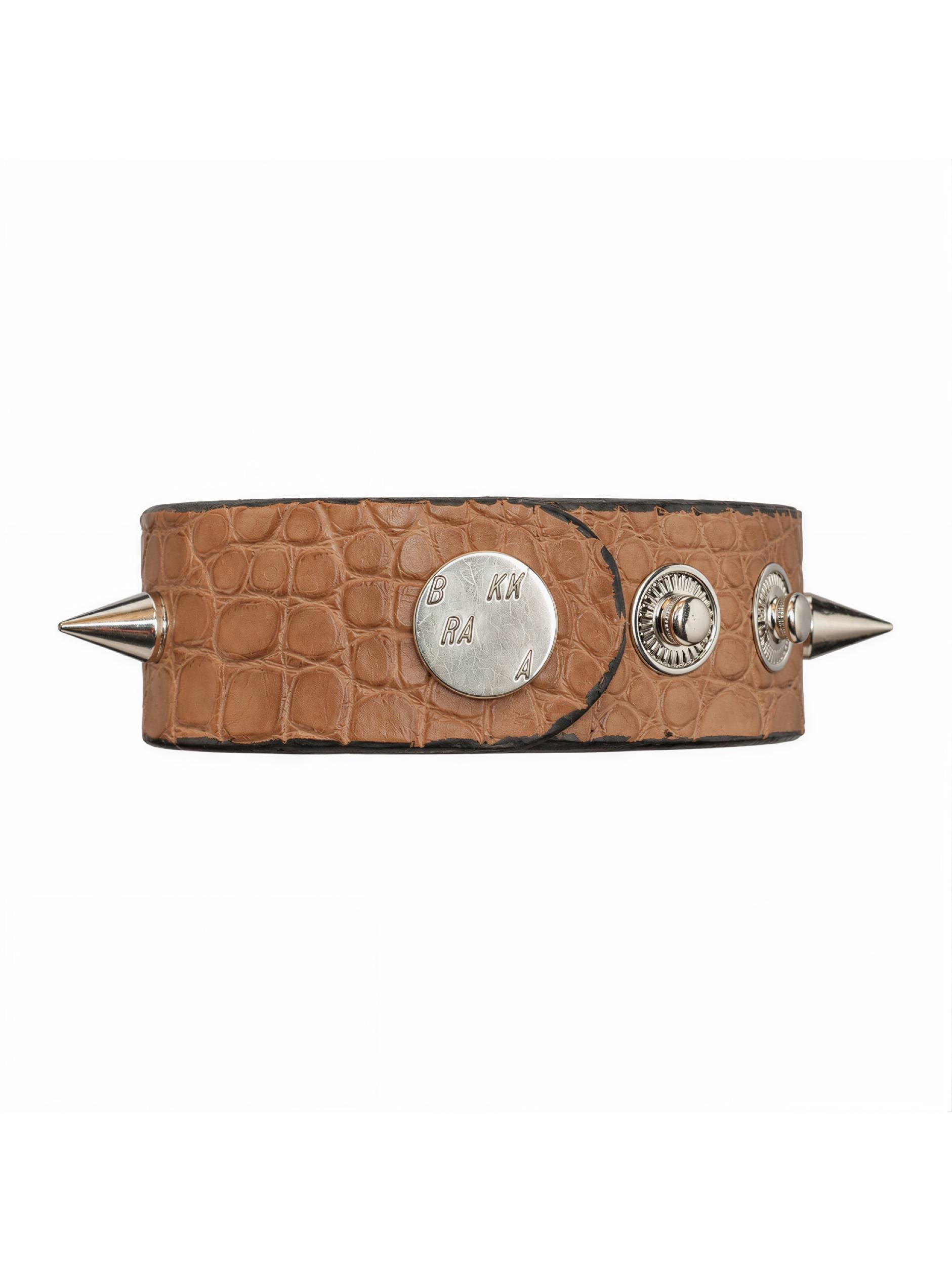 DESERT SAND ALLIGATOR