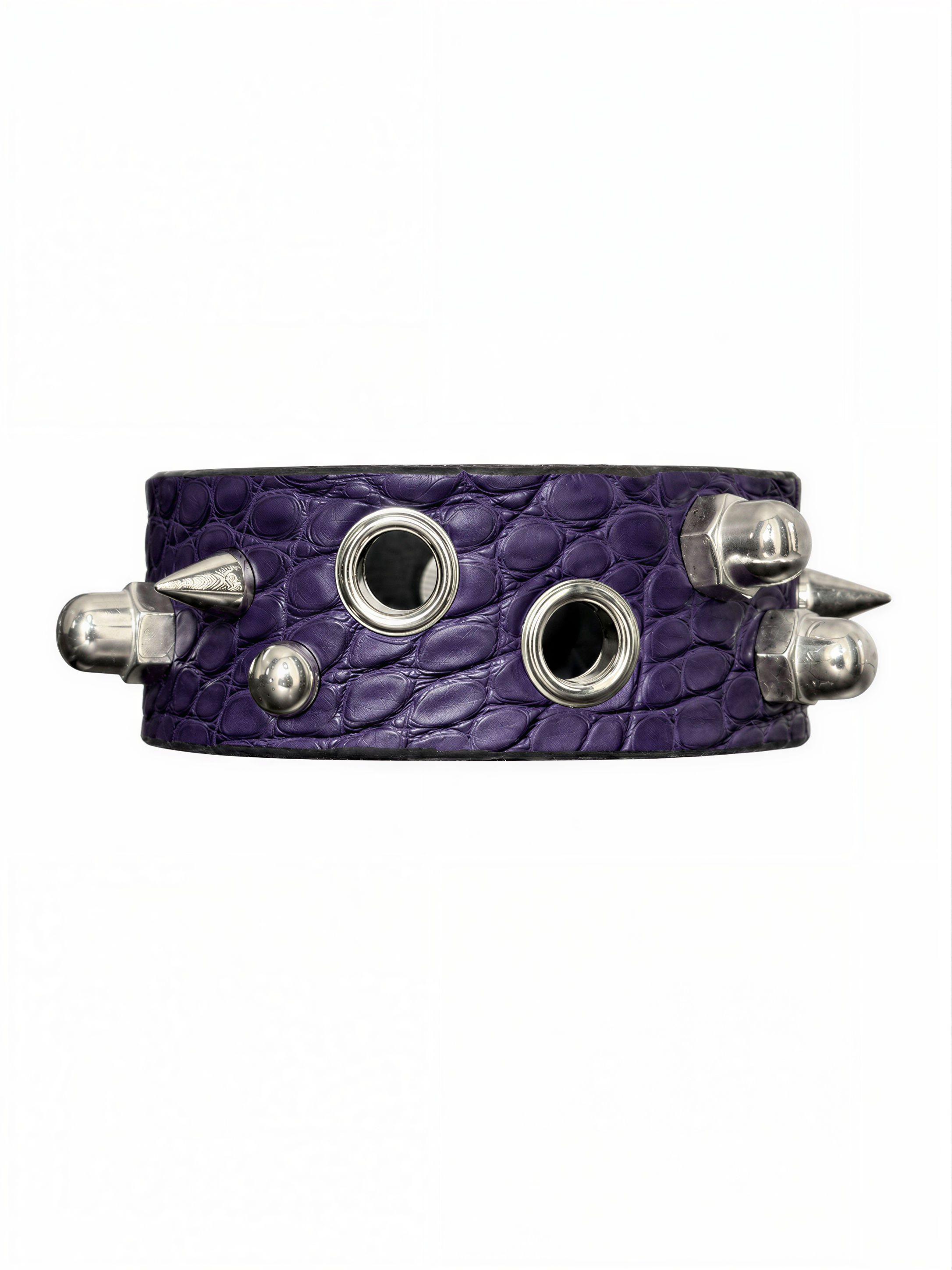 FAIRY PURPLE ASYMMETRIC ALLIGATOR