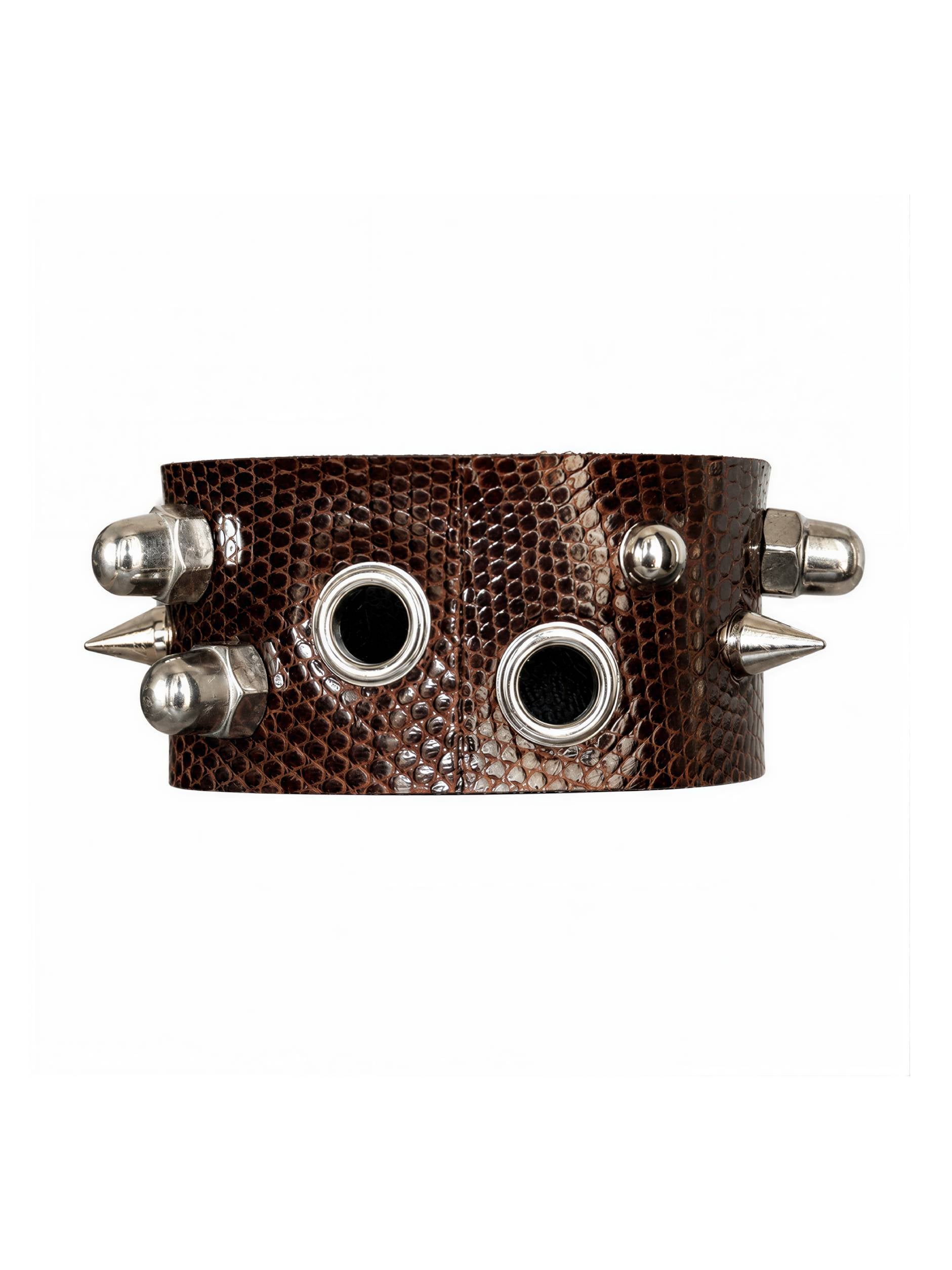 BARK BROWN ASYMMETRIC LIZARD