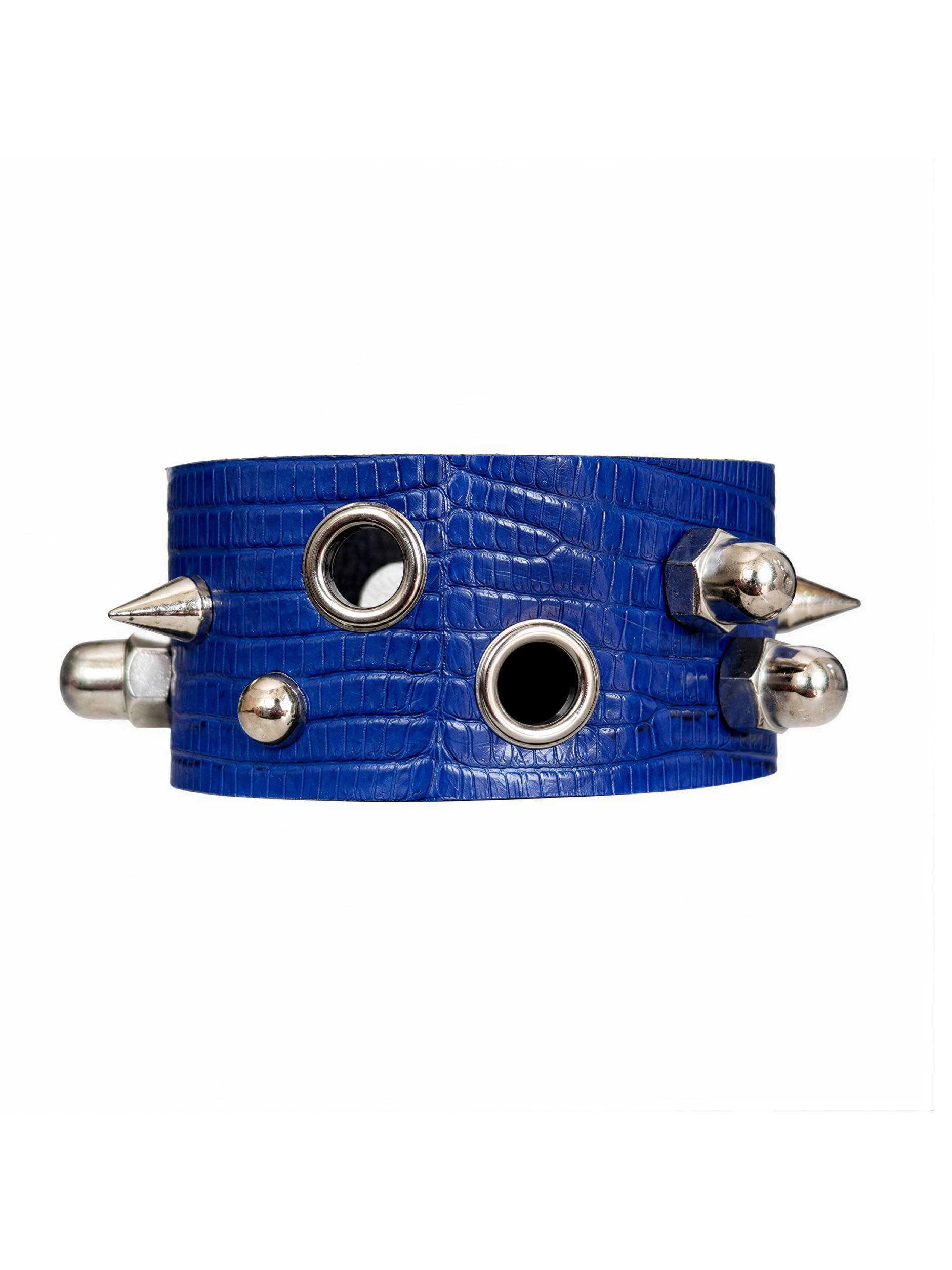 AZURE BLUE ASSYMETRIC LIZARD