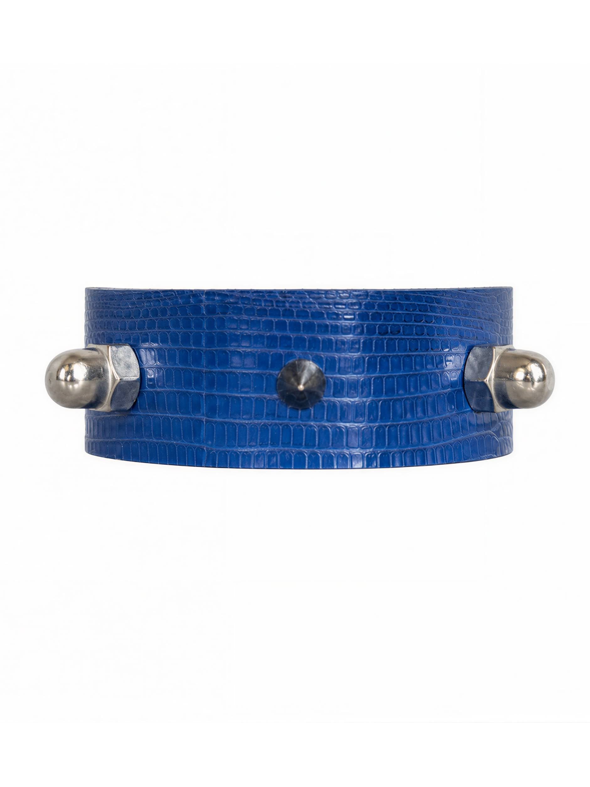 AZURE BLUE LIZARD