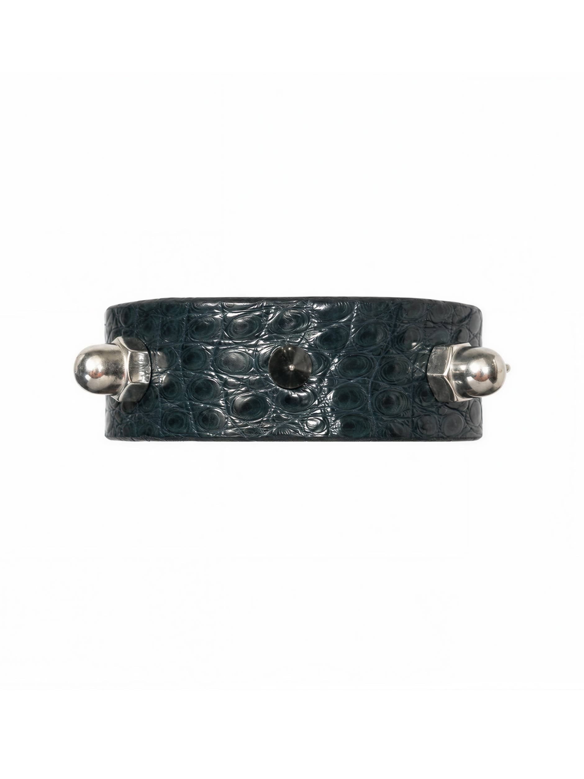 DARK TURQUOISE ALLIGATOR