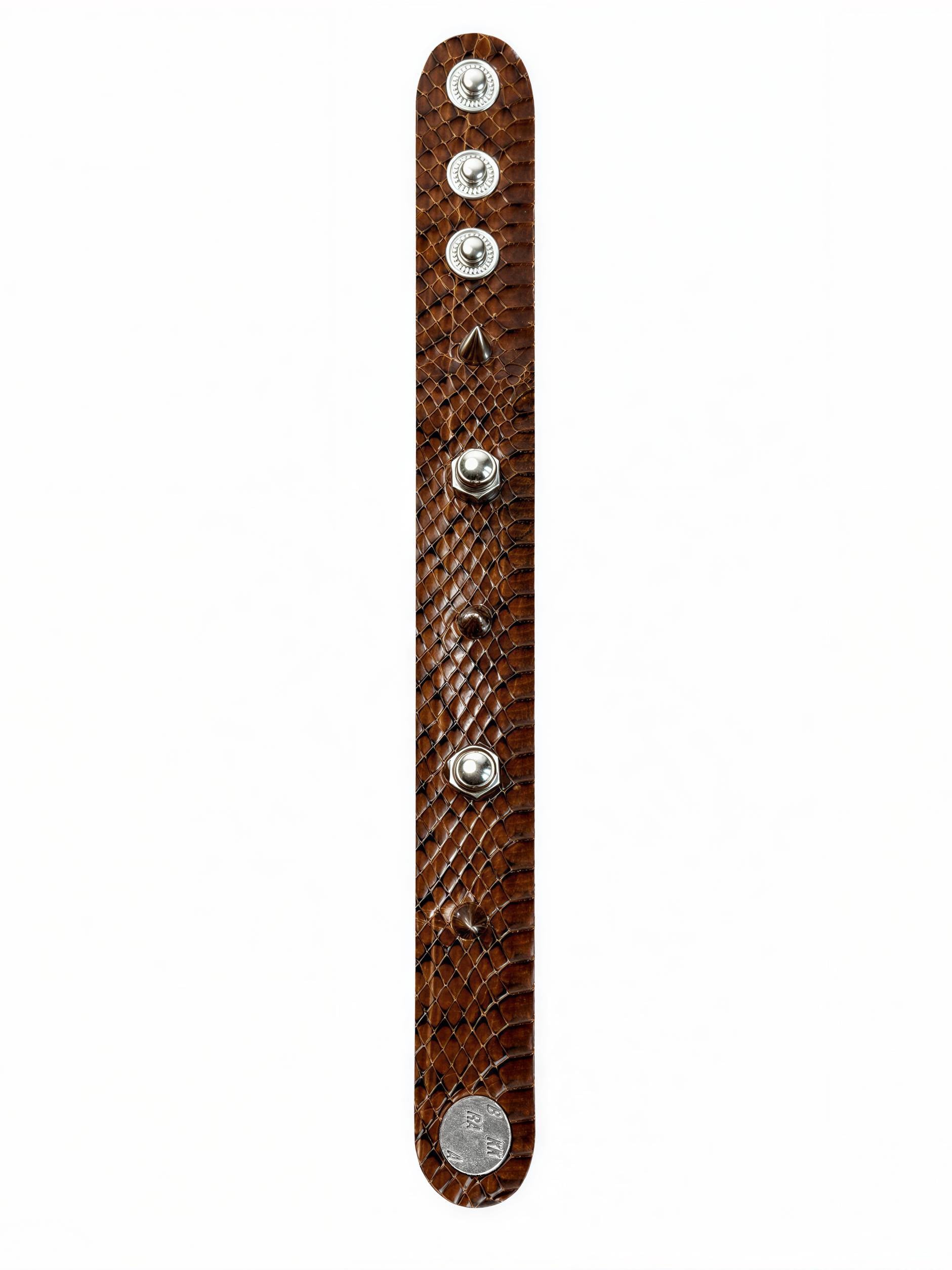 RUST COGNAC PYTHON