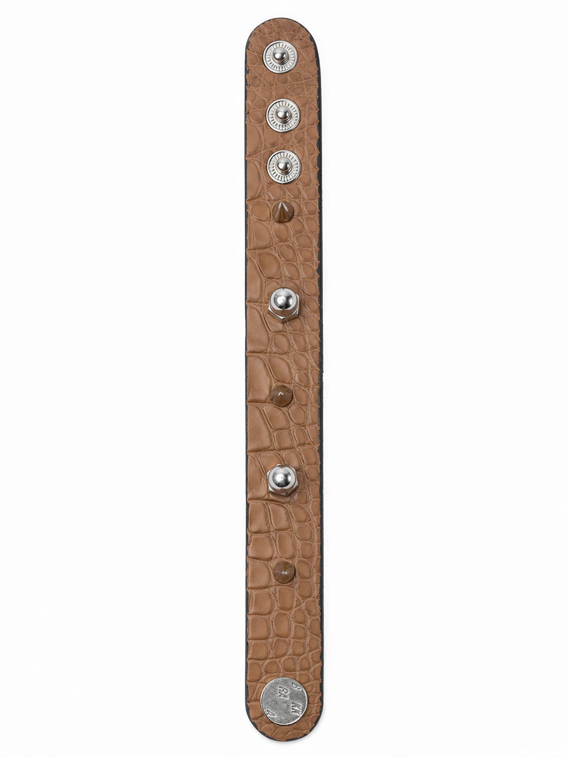 DESERT SAND ALLIGATOR