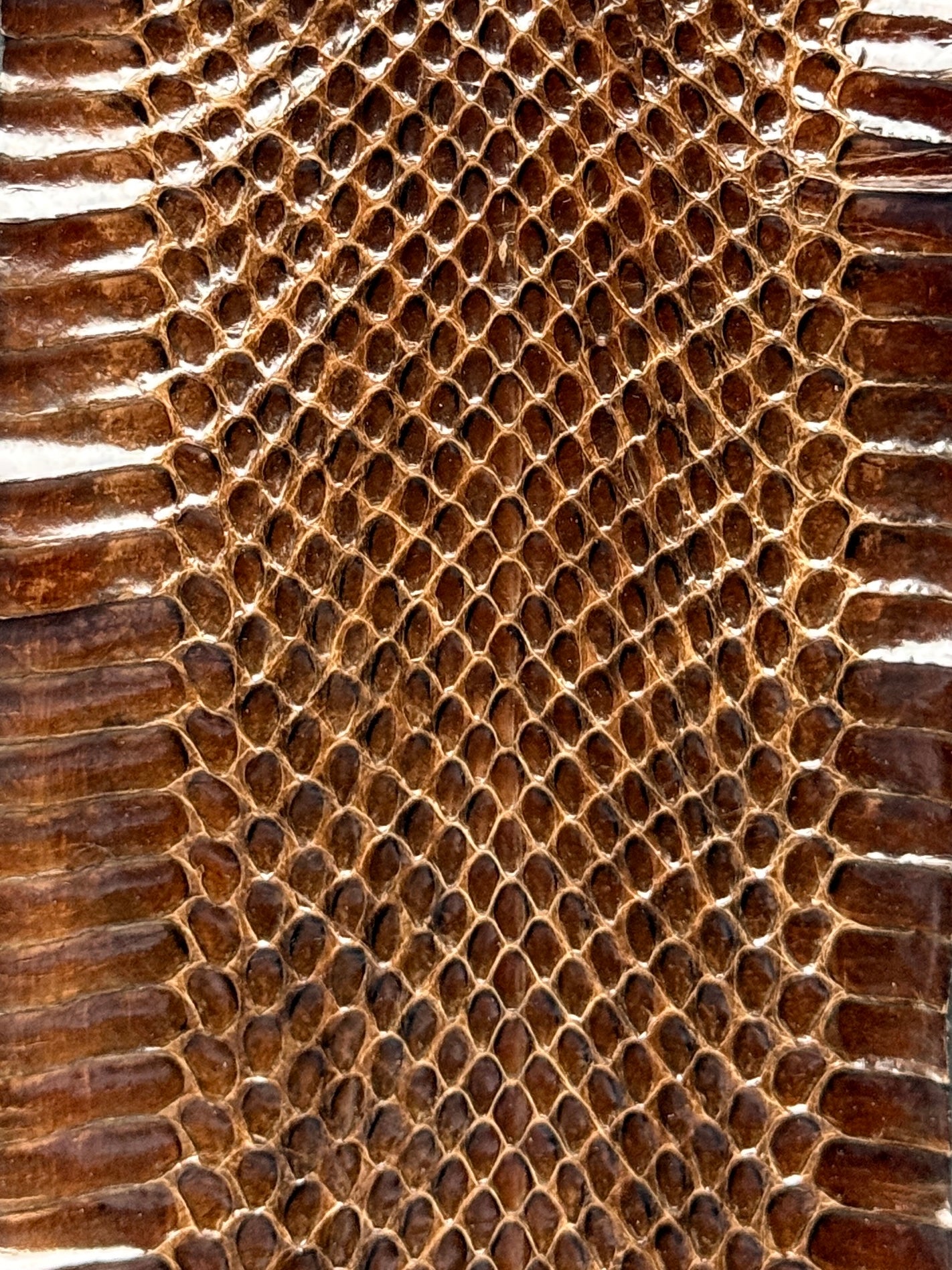 RUST COGNAC PYTHON