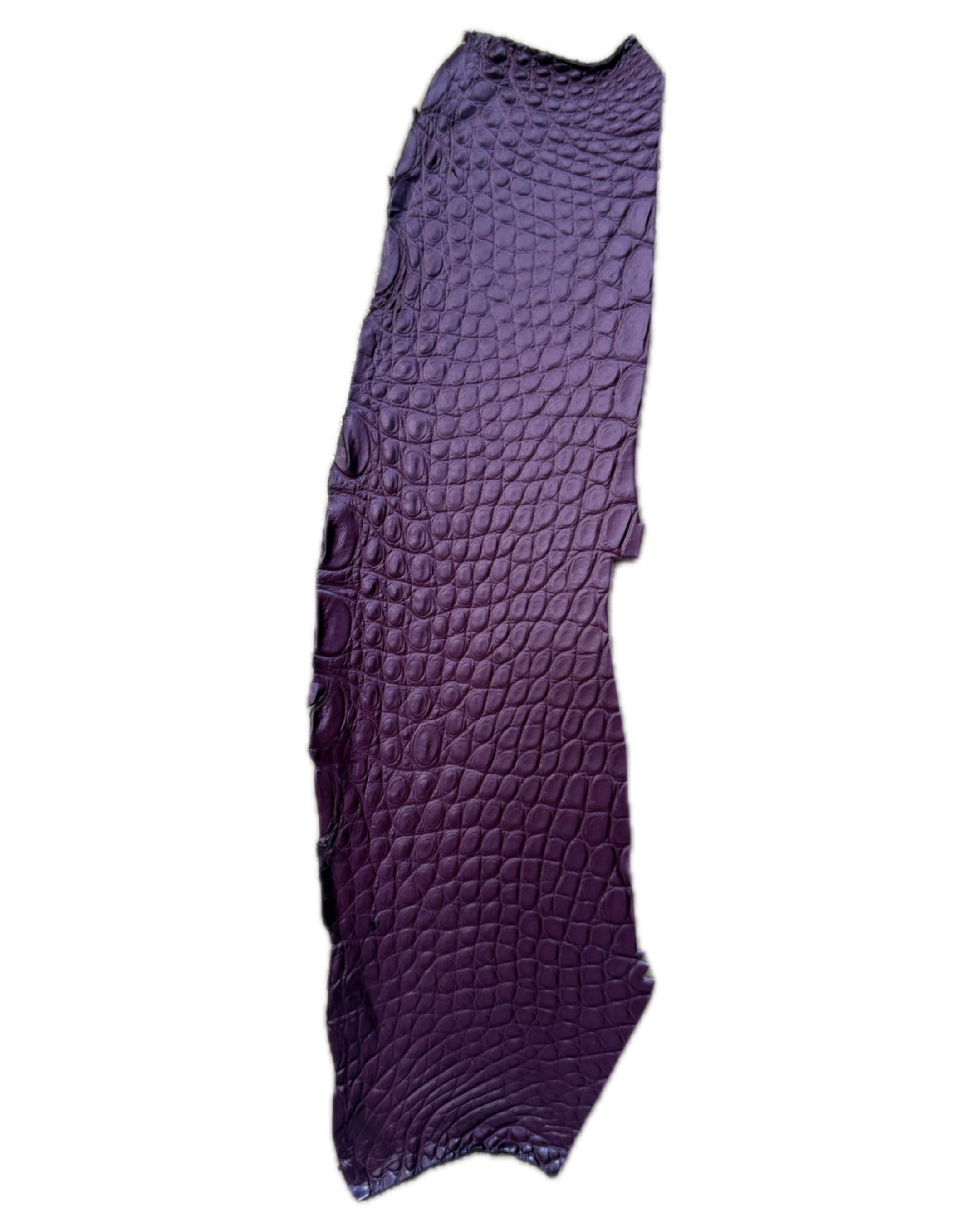 FAIRY PURPLE ALLIGATOR