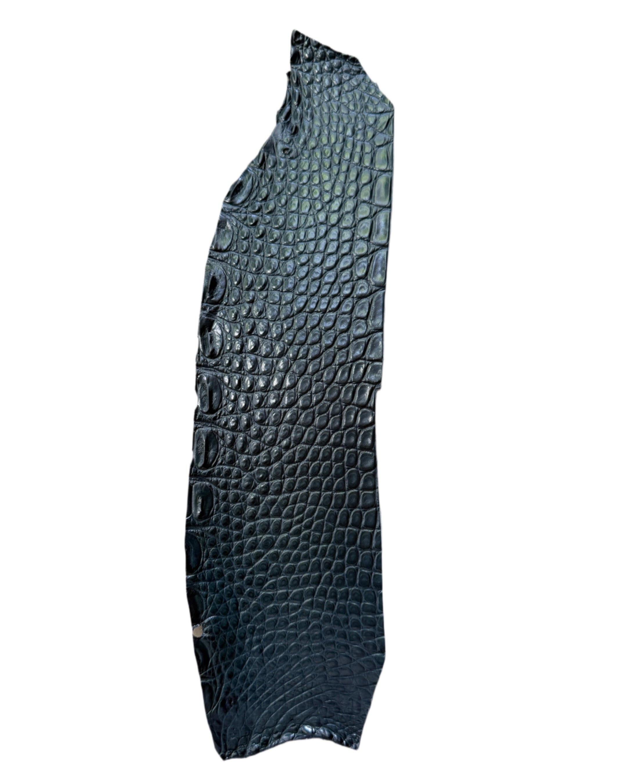 DARK TURQUOISE ALLIGATOR