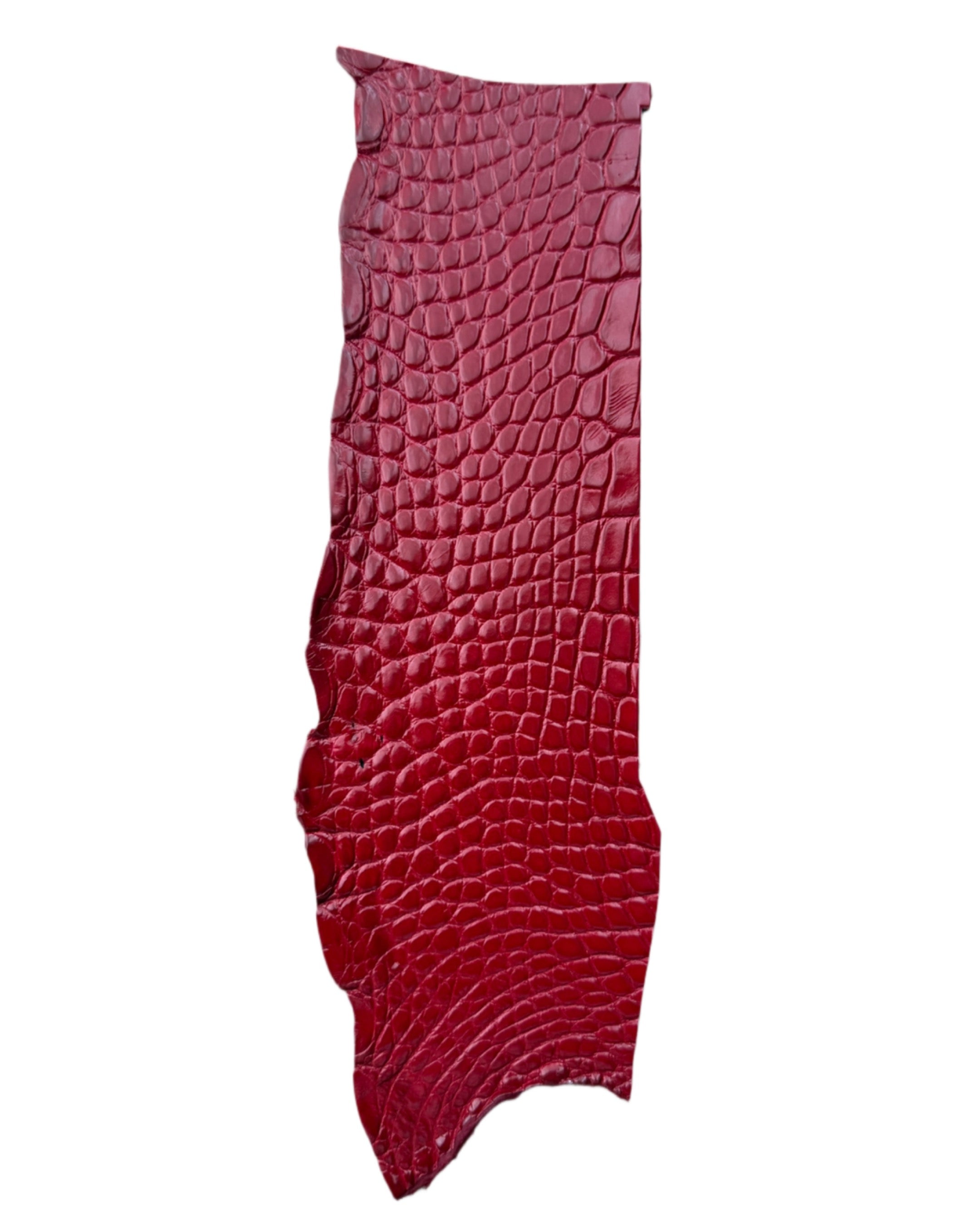 BLOOD RED ALLIGATOR