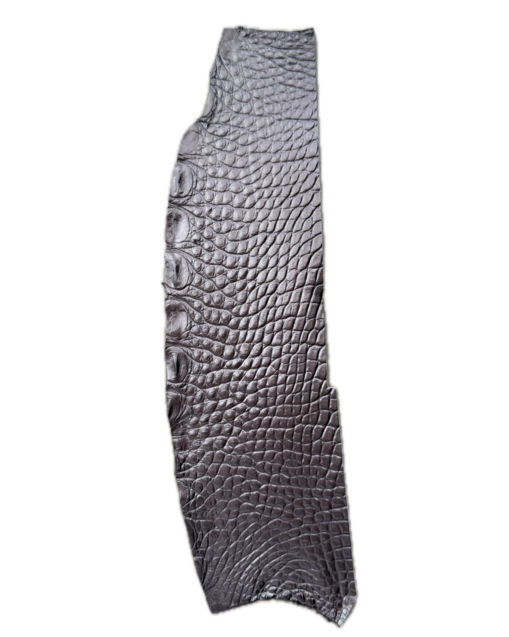 METALLIC SILVER ALLIGATOR